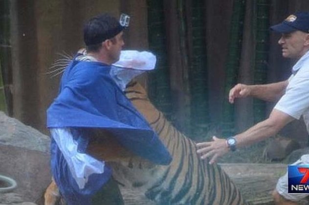 Τρομερό βίντεο με μια τίγρη να επιτίθεται στον εκπαιδευτή της σε ζωολογικό κήπο στην Αυστραλία (βίντεο) - Κυρίως Φωτογραφία - Gallery - Video