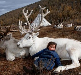 Photo Story: H συναρπαστική ζωή της νομαδικής φυλής Ντούκχα που ζει στη βόρεια Μογγολία εκτρέφοντας τάρανδους!