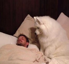 Το βίντεο της ώρας: Η αξιολάτρευτη σκυλίτσα προσπαθεί τρυφερά να ξυπνήσει το αφεντικό της