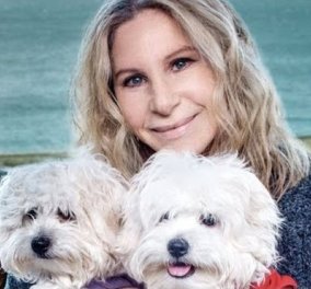 Η Μπάρμπρα Στράιζαντ κλωνοποίησε την αγαπημένη της σκυλίτσα & τώρα έχει 2 «αντίγραφα» της! (ΦΩΤΟ- ΒΙΝΤΕΟ) 