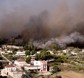 Δύσκολη η κατάσταση στην Πελοπόννησο: Σε εξέλιξη οι πυρκαγιές σε Φωκίδα - Ηλεία - Στου Λάλα το κυριότερο μέτωπο - Στα νοσοκομεία με αναπνευστικά προβλήματα  πολίτες  (φώτο)