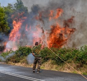 Ανεξέλεγκτη η φωτιά στην Ηλεία - Καίγονται σπίτια στο χωριό Αχλαδινή - Μήνυμα του 112 για εκκένωση των περιοχών Δούκας και Μηλιές-Κόλαση πυρός στο χωριό Νεμούτα (φώτο-βίντεο)  