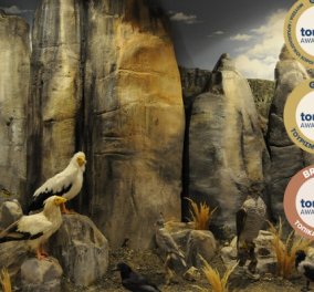 Good news: «Χρυσό» το Μουσείο Φυσικής Ιστορίας Μετεώρων και Μουσείο Μανιταριών - 40 βραβεύσεις!