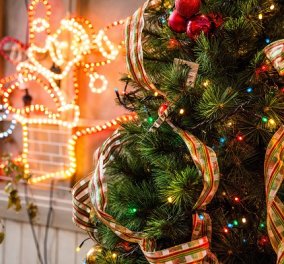 Χριστούγεννα: Τελικά το ψεύτικο ή το αληθινό δέντρο είναι πιο φιλικό προς το περιβάλλον;