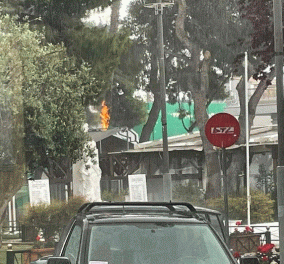 Μαρούσι: Κεραυνός έπεσε δίπλα σε καφετέρια – Άρπαξαν φωτιά τα δέντρα (φωτό)