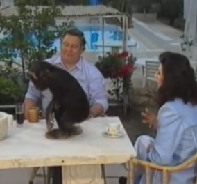 Το eirinika αναμεταδίδει μία σπάνια συνέντευξη του Μιλτιάδη Έβερτ στην Ειρήνη Νικολοπούλου – Χαλαρός με τον Αζάνκα και τα σκυλιά του (φωτό & βίντεο)