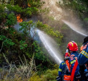 Ρόδος: Μάχη με τις αναζωπυρώσεις, η φωτιά κατακαίει το νησί για 10η μέρα - 50.000 στρέμματα έγιναν στάχτη στη Μαγνησία (βίντεο)