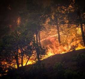 Ρόδος: Η μεγαλύτερη επιχείρηση εκκένωσης που έγινε ποτέ σε πυρκαγιά στη χώρα -  Εγκλωβισμένοι σε ανοιχτό γήπεδο τουρίστες & κάτοικοι 