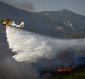 Οι φωτιές "έφαγαν" το πράσινο της Αττικής: Τα τελευταία 7 χρόνια κάηκε το 23% της έκτασης του νομού