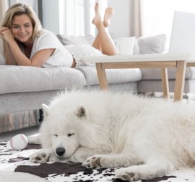 Δώστε ... χώρο στο μεγαλόσωμο σκυλάκι σας - ενώ ζείτε σε μικρό σπίτι: Πώς αυτά τα δύο ισορροπούν μεταξύ τους;