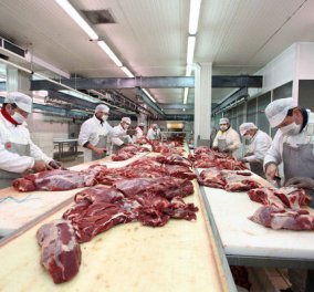 Συναγερμός σε όλη την Ευρώπη για το κρέας αλόγου - Κυρίως Φωτογραφία - Gallery - Video