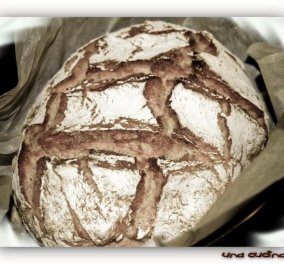 Ο σεφ μας Κωνσταντίνος Μουζάκης, μας ετοιμάζει σπιτικό καρβέλι ψωμί με... μαστίχα! Πάμε να δούμε, πώς! - Κυρίως Φωτογραφία - Gallery - Video