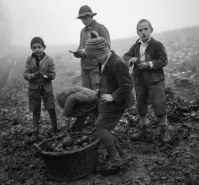 Η ντροπή της Ελβετίας - Πολύκροτο ντοκιμαντέρ του BBC: Στη χώρα του πλούτου έκαναν σκλάβους στα χωράφια τα φτωχά παιδιά, τα ξερίζωναν απο τις οικογένειες τους & τα κακομεταχειρίζονταν!  - Κυρίως Φωτογραφία - Gallery - Video
