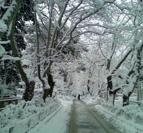 Στα λευκά μας αποχαιρετά το 2014 - Σε κλοιό χιονιά η Βόρεια Ελλάδα - Χιονίζει και στα Βόρεια Προάστια της Αθήνας