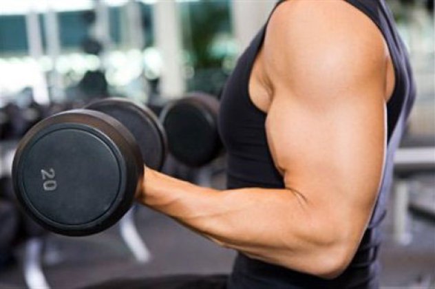 Μία άγνωστη ως σήμερα πρωτεΐνη μεγαλώνει τους μυς μετά την άσκηση - Κυρίως Φωτογραφία - Gallery - Video