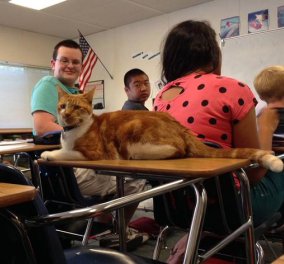 O Μπούμπα είναι ο πρώτος γάτος στο κόσμου που πάει σχολείο - Οι συμμαθητές του τον αγαπούν & τον προσέχουν στην τάξη  