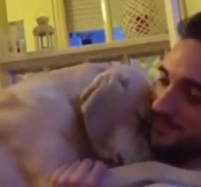 Βίντεο: Ο σκύλος που ζητά συγγνώμη και κάνει το Ίντερνετ να λιώνει - Θα τον λατρέψετε! 