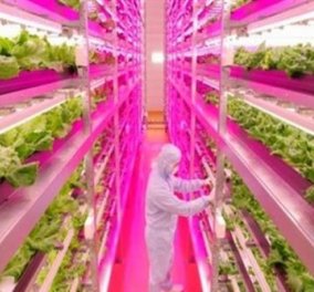  Ιαπωνία: Το πρώτο πλήρως αυτοματοποιημένο αγρόκτημα στον κόσμο θα λειτουργήσει το 2017 
