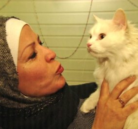 Story of the day: Η συγκλονιστική Οδύσσεια του γάτου Κουνκούς από την Μοσούλη ως την Νορβηγία