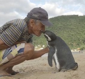 Pet love story: Πιγκουίνος ταξιδεύει κάθε χρόνο 5 χιλ. μίλια για να συναντήσει τον σωτήρα του‏