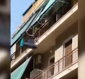 Σκληρές εικόνες από το κέντρο της Αθήνας: Άνδρας-κτήνος βασανίζει και πετά τον σκύλο του από τον 3ο όροφο πολυκατοικίας (βίντεο)