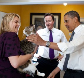 Ποιος είναι ο μόνος ένοικος που παραμένει στην Πρωθυπουργική κατοικία του Κάμερον; Γνωρίστε τον γάτο Λάρι