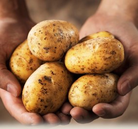 Οι πατάτες αυξάνουν τον κίνδυνο εκδήλωσης υπέρτασης ακόμη & βραστές ! Οι τηγανητές αστό καλύτερα 