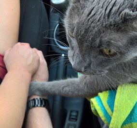 Συγκίνηση: Ο ετοιμοθάνατος γάτος κρατάει το χέρι του αφεντικού για το τελευταίο ταξίδι ...στον κτηνίατρο  