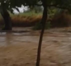 Βίντεο: «Σάρωσε» στη χώρα η κακοκαιρία - Ποτάμια οι δρόμοι στο Καραβοστάσι Θεσπρωτίας  