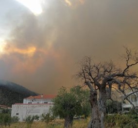 "Πύρινη κόλαση" στη Θάσο - Για 2η ημέρα ανεξέλεγκτη η μεγάλη πυρκαγιά - Κάηκαν 13 σπίτια, απειλούνται χωριά