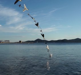Drone - «θαλασσοπούλι» & ταυτόχρονα ψάρι: Mπορεί να βουτά από τον αέρα στο νερό 