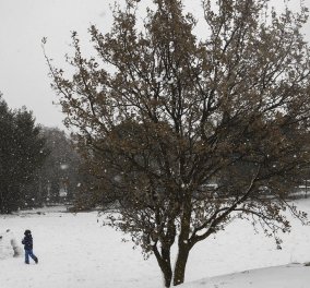 Παγωμένο Σάββατο: Στο έλεος του χιονιά Αριάδνη όλη η χώρα - Πού χρειάζονται αλυσίδες