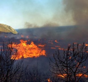Ζάκυνθος: Μεγάλη δασική πυρκαγία στις Μαριές