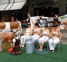Τρελές ακτιβίστριες ζήτησαν να τις αρμέξουν στα στήθη τους ως ένδειξη διαμαρτυρίας ενάντια στην εκμετάλλευση του αγελαδινού γάλακτος