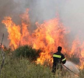 Μάχη με τις φλόγες δίνουν οι πυροσβέστες στη Μάνη - Πύρινα μέτωπα σε Σκουτάρι και Κοκκάλα