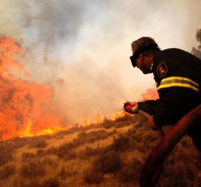 Σαρώνει η φωτιά στην Μάνη: Σε κίνδυνο ζωές, κάηκαν σπίτια - Τυλίχθηκε στις φλόγες το αυτοκίνητο του δημάρχου