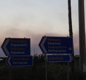 Πυροσβεστική: 91 πυρκαγιές σε όλη την Ελλάδα το περασμένο 24ωρο - 22 μόνο στην Ζάκυνθο   