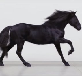 Βίντεο: Ένα άλογο περήφανο πλάι σας ..... η εκπληκτική συγκινητική διαφήμιση μιας τράπεζας με έμβλημα το άλογο