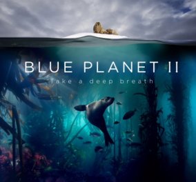 Blue Planet II: το πολυαναμενόμενο ντοκιμαντέρ του BBC Earth κάνει πρεμιέρα αποκλειστικά στην COSMOTE TV 