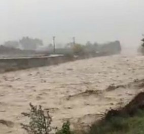 Εντυπωσιακό βίντεο: Φουσκωμένο ποτάμι στην Κατερίνη «καταπίνει» δέντρο