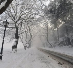 Έντονη κακοκαιρία σε κεντρική & βόρεια Ελλάδα: Χιόνια και κλειστά σχολεία σε πολλές περιοχές (ΦΩΤΟ - ΒΙΝΤΕΟ) 