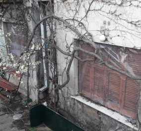 Σοκάρουν τα νέα στοιχεία για το "θρίλερ" με την ομηρία στη Θεσσαλονίκη: Ήταν βίαιος & απέσπασε 81.000 ευρώ από τα ξαδέλφια του o 58χρονος