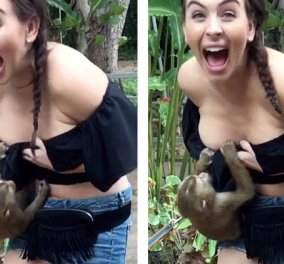 Ταϊλάνδη: Ένα τρισχαριτωμένο αλλά άτακτο πιθηκάκι έκανε "επίθεση" σε τουρίστρια και... είχαμε αποκαλύψεις! (BINTEO)
