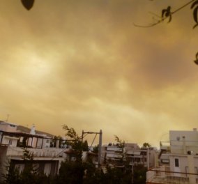 Συγκλονιστικές εικόνες και βίντεο από τη μεγάλη φωτιά στην Κινέτα - Απειλούνται σπίτια, εκκενώνονται οικισμοί (Φωτό & Βίντεο)