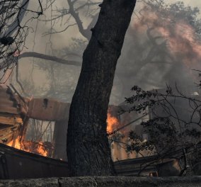 Όμιλος Κοπελούζου: 2 εκατ. € για τους πληγέντες της πυρκαγιάς 