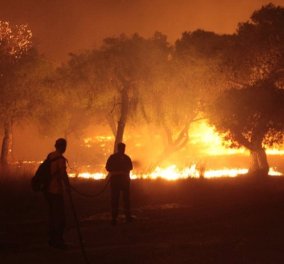 Πυρκαγιές στην Αττική: Κάηκαν 12.600 στρέμματα - Τι δείχνει έρευνα του Εθνικού Αστεροσκοπείου Αθηνών (Φωτό)
