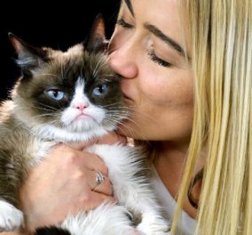 Στους ουρανούς ανέβηκε η πιο διάσημη γάτα του διαδικτύου – Η γαλανομάτα Grumpy Cat πέθανε από ουρολοίμωξη