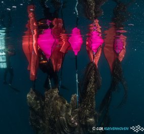 Φανταστικές εικόνες: Δύτες ανασύρουν 2 τόνους δίχτυα - φαντάσματα από την Χαλκιδική