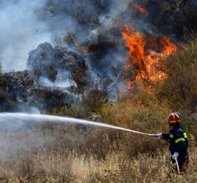 Υπό μερικό έλεγχο οι φωτιές σε Ραφήνα και Βαρνάβα (φωτό)