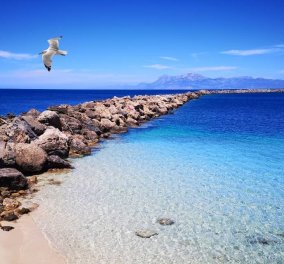Eirinika - Καλοκαίρι 2020: #kasos - Το νησί των καπεταναίων & νοτιότερο των Δωδεκανήσων - «Ένα φιλί της θάλασσας της αφροστολισμένης» (φωτό)